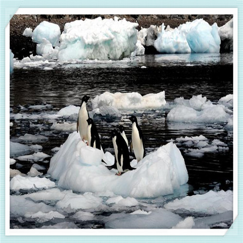 带有阳台的卧室怎么装空调(带有阳台的卧室怎么装空调孔怎么打)