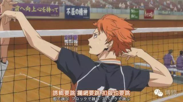 排球有哪几项基本技术(不看不知道,排球这项运动有这么多门道)