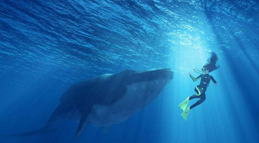 在哪里可以游艇拍照(2022年三亚游艇出海有哪些海上娱乐项目最值得期待和体验?)