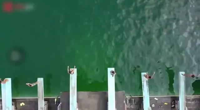 最小的世界冠军是几岁(14岁问鼎跳水世界冠军,全红婵是中国人的骄傲,青少年成长的榜样)