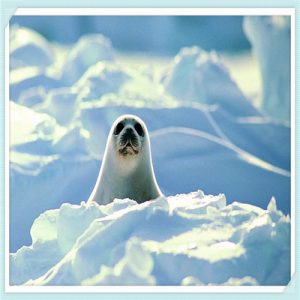 绍兴苏宁广场复工（绍兴苏宁广场停工）-华海博客