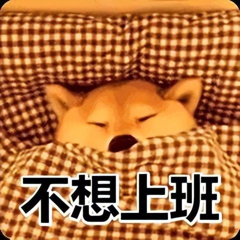 世界杯冷门分析（门兴vs多特蒙德：世界杯大名单竟是冷门元凶？）