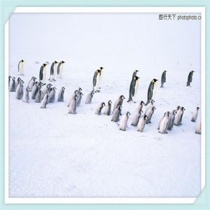 山西临汾人素质怎么样(临汾的人怎么样)-华海博客