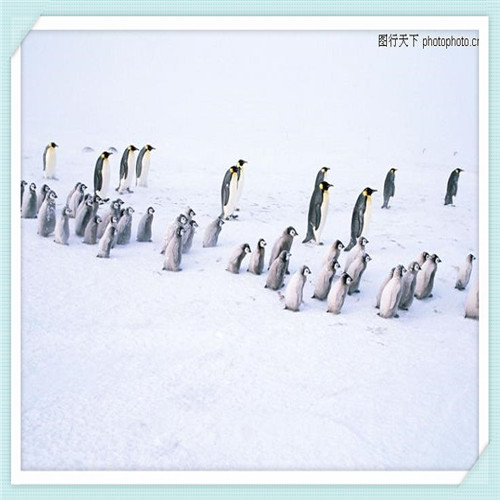 山西临汾人素质怎么样（临汾的人怎么样）