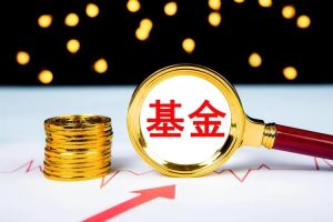 图片[1]-新手怎么买基金；基金怎么玩新手入门-华海博客
